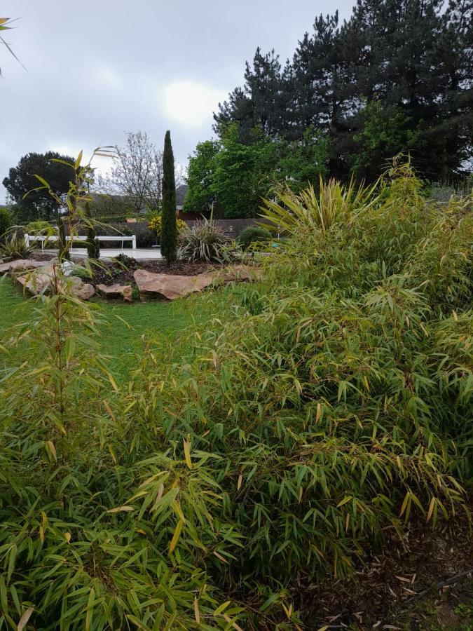 Chambre Dans Un Ecrin De Verdure Bed & Breakfast Angrie Exterior photo