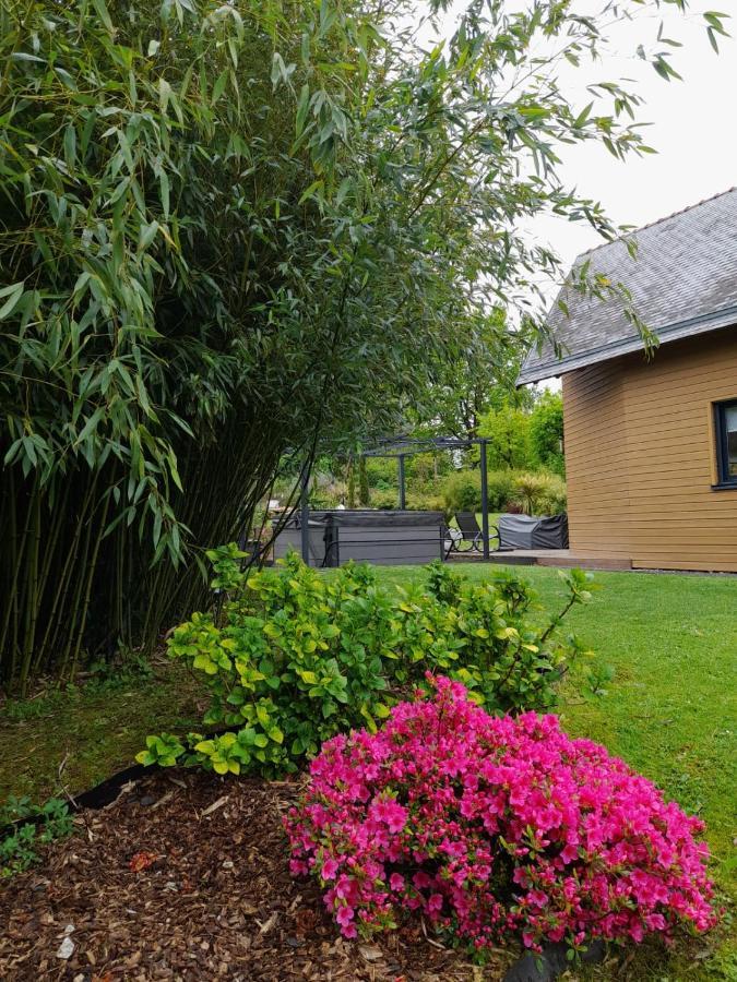 Chambre Dans Un Ecrin De Verdure Bed & Breakfast Angrie Exterior photo