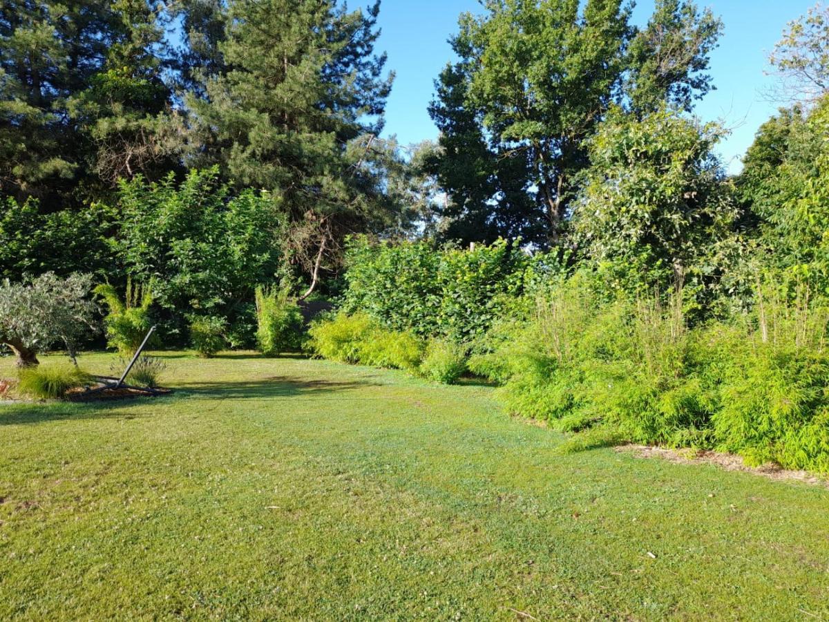 Chambre Dans Un Ecrin De Verdure Bed & Breakfast Angrie Exterior photo