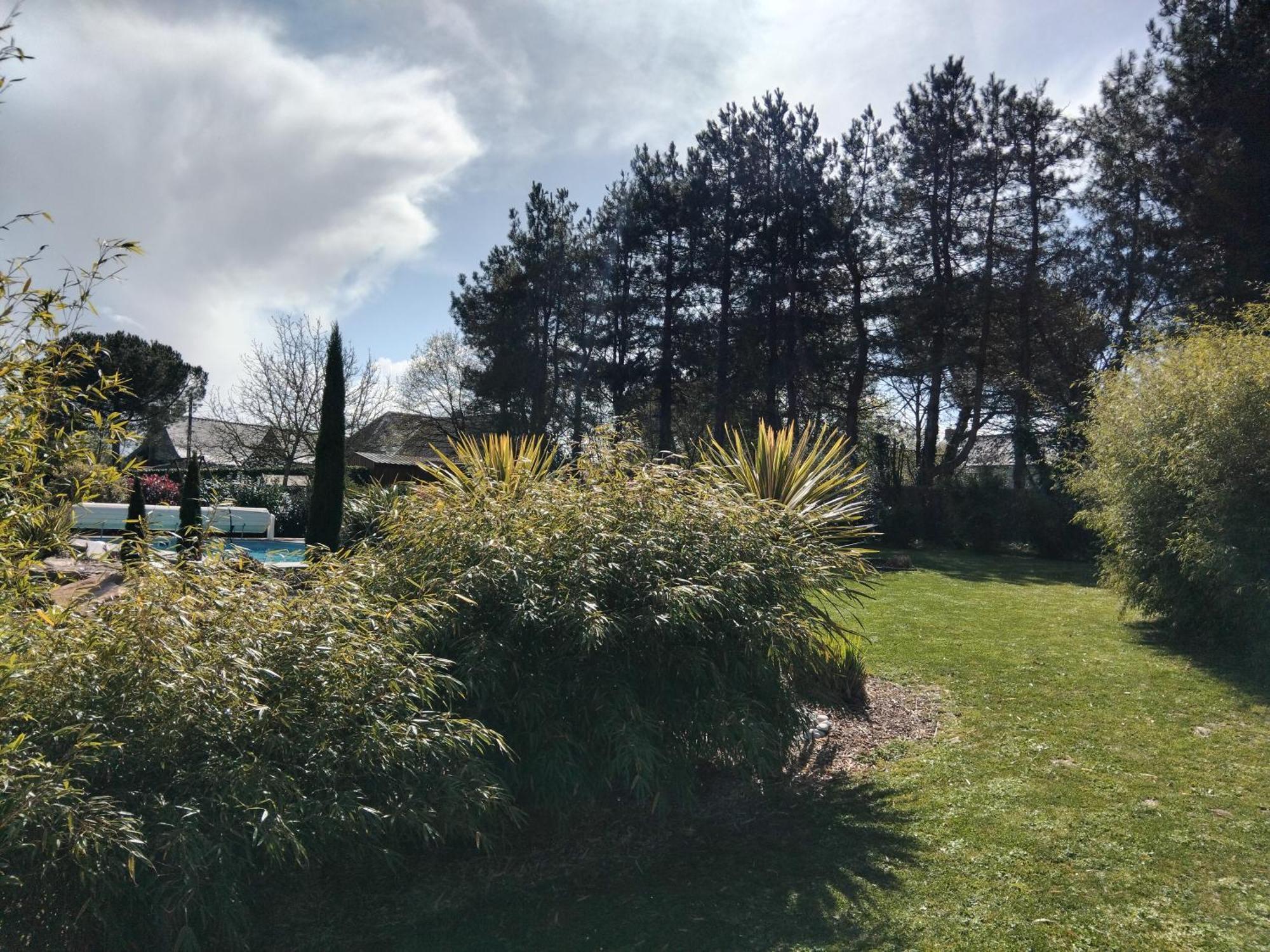 Chambre Dans Un Ecrin De Verdure Bed & Breakfast Angrie Exterior photo