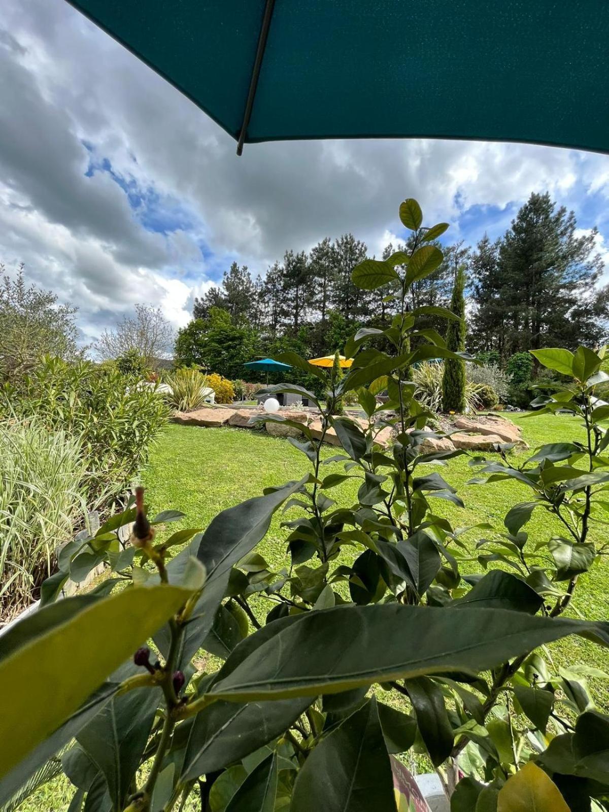 Chambre Dans Un Ecrin De Verdure Bed & Breakfast Angrie Exterior photo